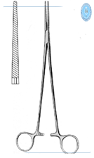 Bengolea Hemostatic Fcps str serr 20cm, S/S