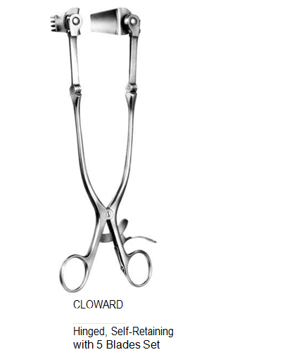 Cloward Retractor Set, Self-Retaining, Hinged, with 2 each plug-in blades  25 cm ( with 5 blade Set ) مباعد عظام مفصلى 
